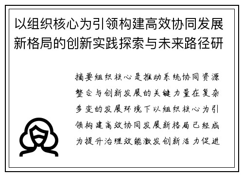 以组织核心为引领构建高效协同发展新格局的创新实践探索与未来路径研究